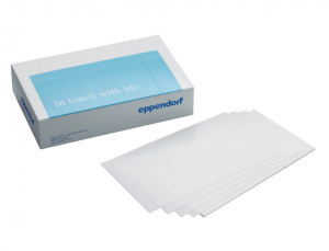  Masterclear adhesive real-time PCR-film, , 100 /, Eppendorf 0030132947