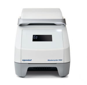  Mastercycler X50l Eppendorf 6303000010