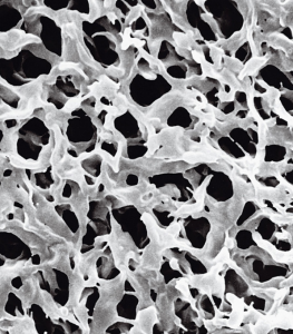 ,  , d  0,22 , d  25 , 100 . Merck (Millipore) GVHP02500