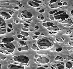 , , d  0,45 , d  142 , 50 . Merck (Millipore) HPWP14250