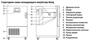      Being Instrument