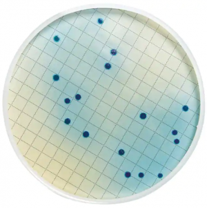     ,   Merck (Millipore) MB000000F