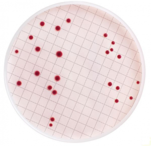    -      ,  Merck (Millipore) MB000000S