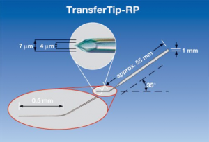  TransferTip RP (ICSI) Eppendorf 5195000010