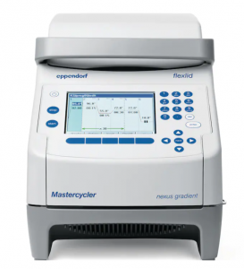  Mastercycler nexus gradient Eppendorf 6331000017