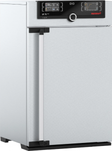   UF75mplus Memmert uf75mplus