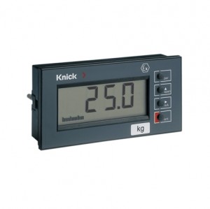  830XS2 Knick