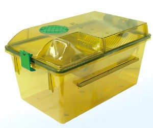        BCR-I IVC Shinva