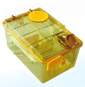        BCR-I IVC Shinva