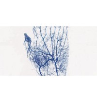   BK-VIA100 Biobase