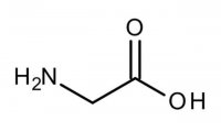 Glycine 