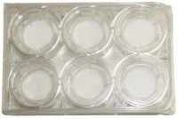 Nanofiber multiwell plate, Interactive MicroEnvironMent System (IMEMS) Z694630-1EA