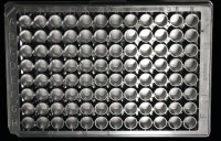 Nanofiber multiwell plate, with aligned nanofibers Z694541-1EA