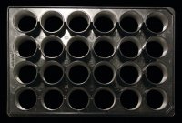 Nanofiber multiwell plate, with aligned nanofibers Z694533-1EA