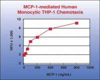 QCM Chemotaxis Cell Migration Assay, 96-well (5 m), fluorimetric ECM512