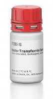 holo-Transferrin bovine 