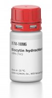 Biocytin hydrochloride 