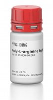 Poly-L-arginine hydrochloride 