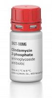 Clindamycin 2-phosphate 