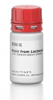 Nisin from Lactococcus lactis 