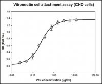 Vitronectin human 