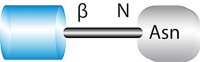 2-Acetamido-1-N-(-L-aspartyl)-2-deoxy--D-glucopyranosylamine 