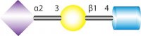 3-N-Acetylneuraminyl-N-acetyllactosamine sodium salt 