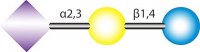 3-Sialyllactose 