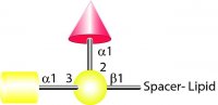 FSL-A(tri) 