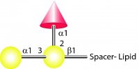 FSL-B(tri) 