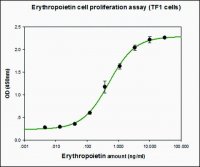 Erythropoietin (EPO) human E5546-50UG