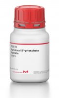 Pyridoxal 5-phosphate hydrate 