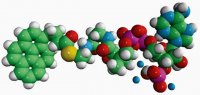 04:0 Pyrene Coenzyme A 810704P-1MG