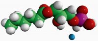 06:0 Lyso PA 857119P-25MG