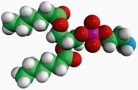 06:0 PE 850697C-25MG
