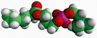 07:0 Lyso PC 855176C-25MG