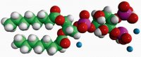 08:0 PI(3,4)P2 