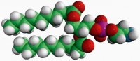 10:0 PE 850700C-25MG