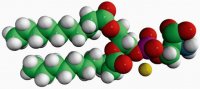 10:0 PS 840036P-10MG