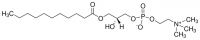 11:0 Lyso PC 855376P-25MG