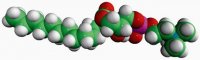 13:0 Lyso PC 855476P-25MG