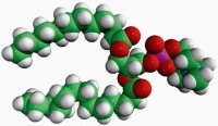 13:0 PC 850340C-25MG