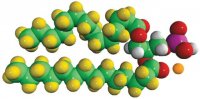14:0 PA-d54 860450P-10MG