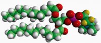 14:0 PC-d4 860341P-10MG