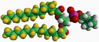 14:0 PC-d54 