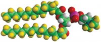 14:0 PC-d63 860347P-10MG