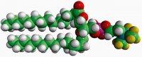 14:0 PC-d9 860342P-10MG