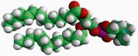 14:1 (9-Trans) PC 850347C-25MG