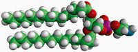 15:0 PE 850704P-25MG