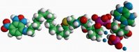 16-NBD-16:0 Coenzyme A 810705P-1MG